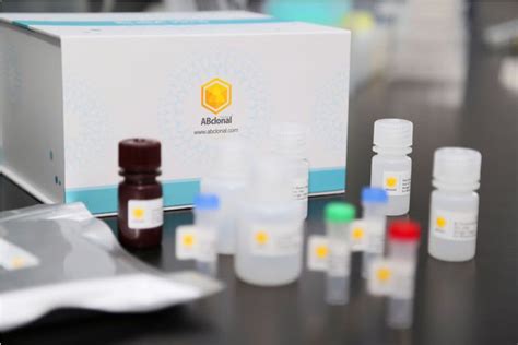 abclonal elisa kits|ABclonal.